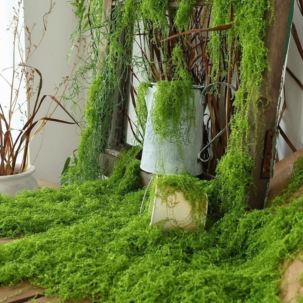 Sphagnum Moss Dry - سجادة عشب صناعي للتركيب الذاتي، متينة