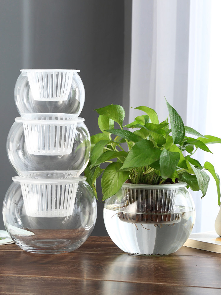 Propagation Station Vase - مزهرية زجاجية للزراعة المائية، وعاء زجاجي