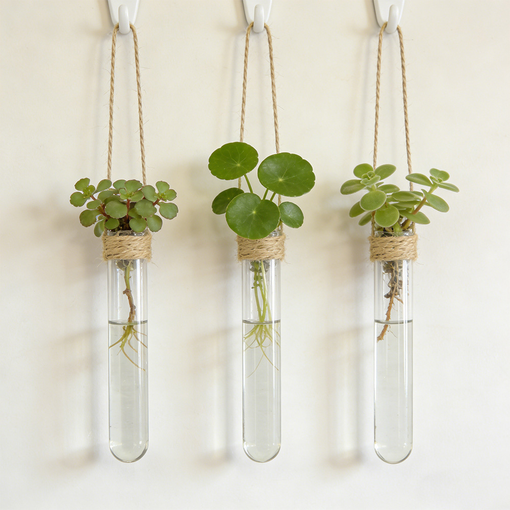 مزهرية زهور معلقة على الحائط ل - مراجعة Propagation Station Vase وسعره