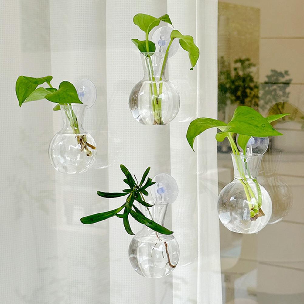 حامل نباتات للنوافذ، مزهرية نا - مراجعة Propagation Station Vase وسعره