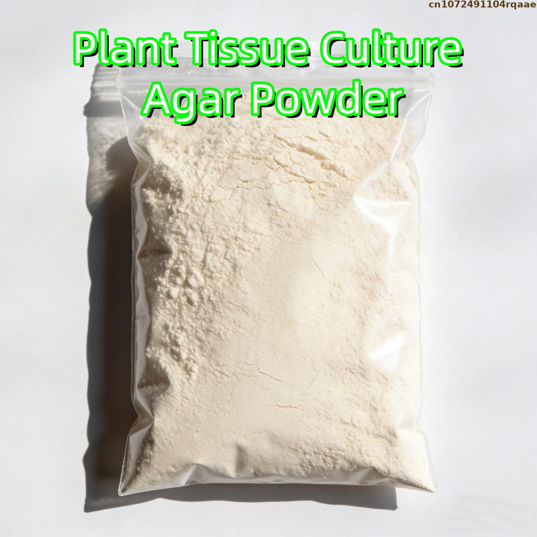 مسحوق أجار عالي الجودة لزراعة  - مراجعة Agar Tissue Culture وسعره