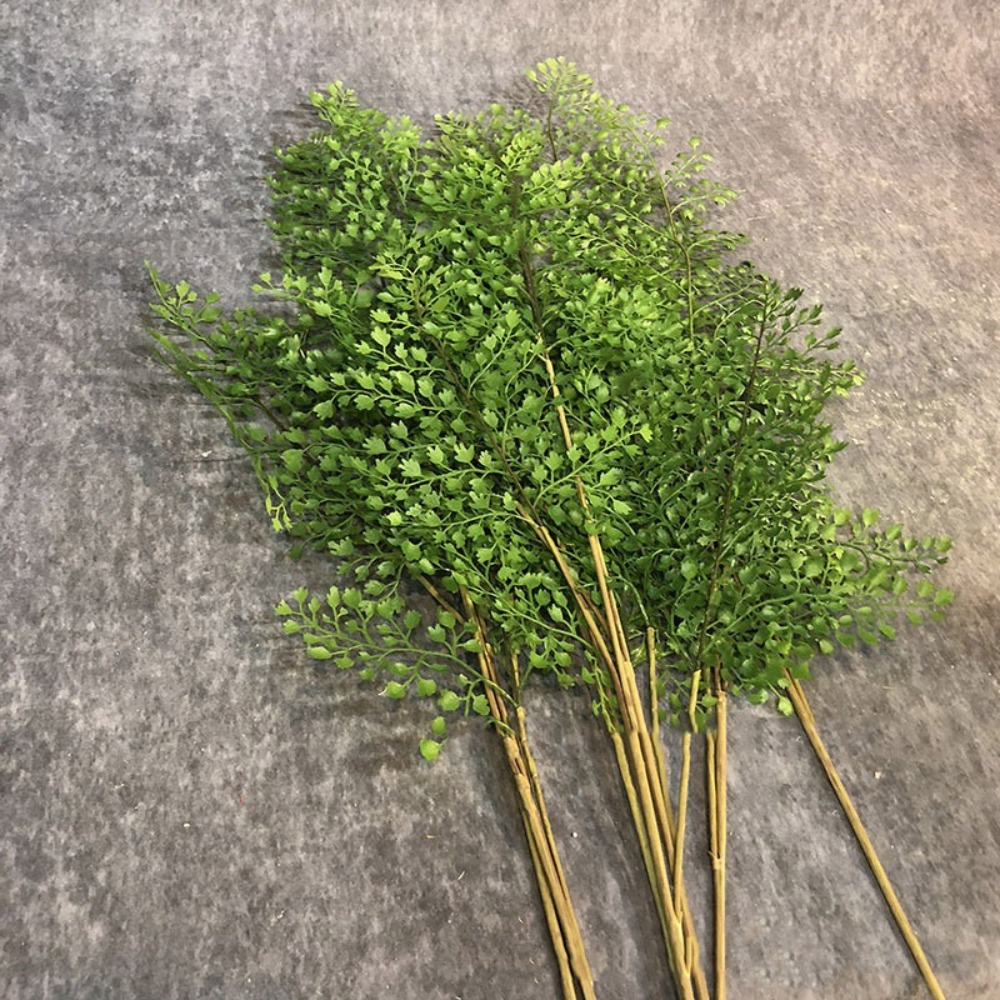 فروع نباتات السرخس الاصطناعية  - مراجعة Sphagnum Moss Dry وسعره