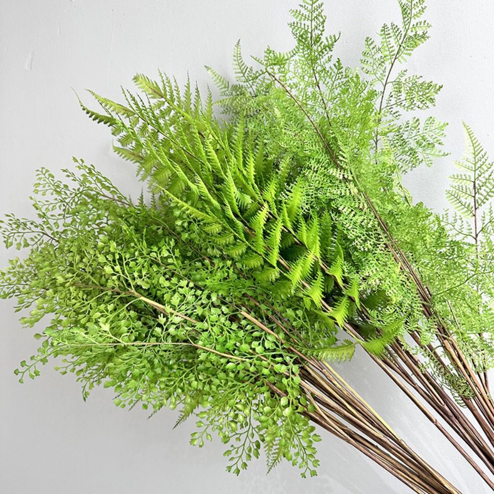 فروع نباتات السرخس الاصطناعية  - مراجعة Sphagnum Moss Dry وسعره
