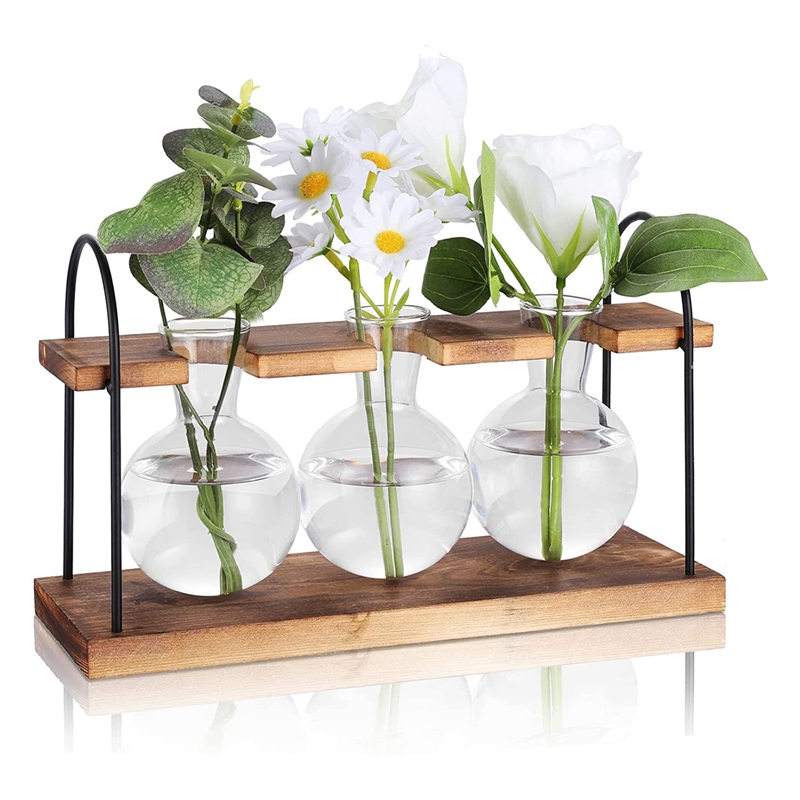 محطة تكاثر النباتات مع حامل خش - مراجعة Propagation Station Vase وسعره