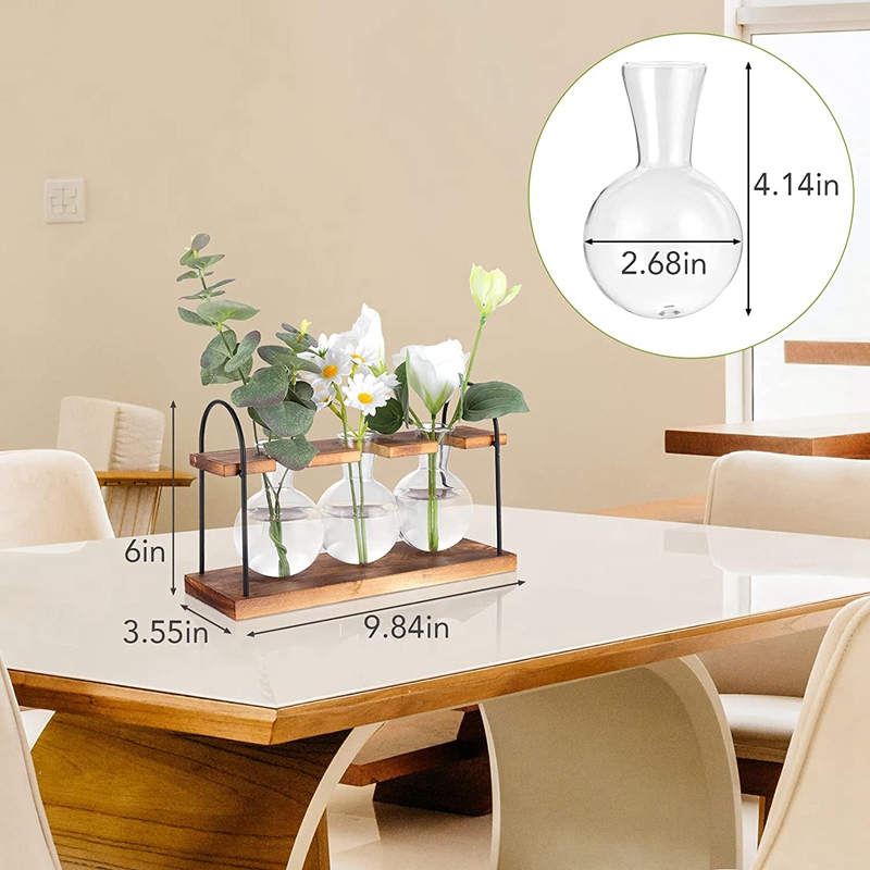 محطة تكاثر النباتات مع حامل خش - مراجعة Propagation Station Vase وسعره
