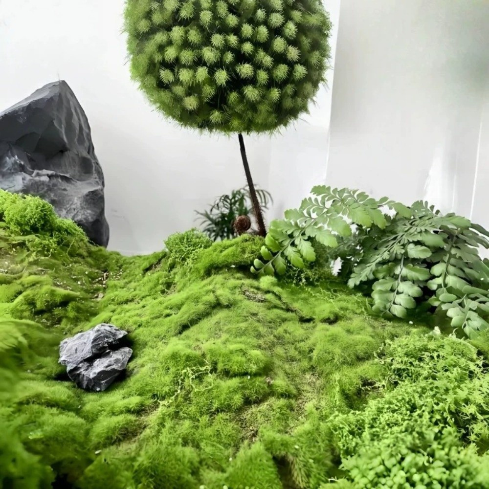 سجادة عشب صناعي للتركيب الذاتي - مراجعة Sphagnum Moss Dry وسعره