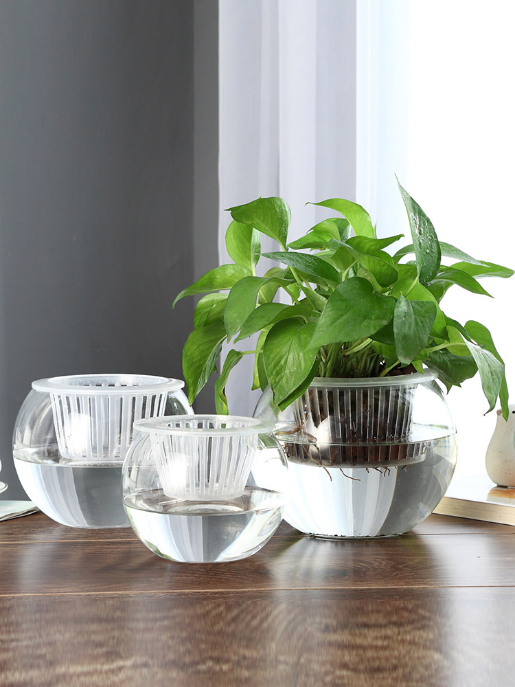 مزهرية زجاجية للزراعة المائية، - مراجعة Propagation Station Vase وسعره